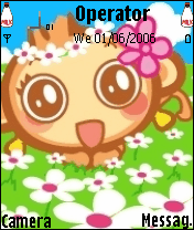 yoyocici