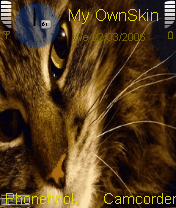 cat