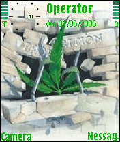 marijuana
