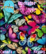 butterflies