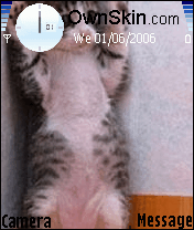 cat 7