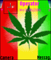 canabis azb