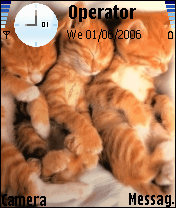 gatti