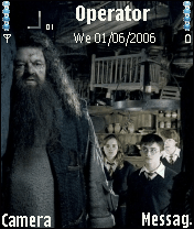 Hagrid and the trio