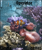Under the sea
