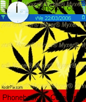 rasta
