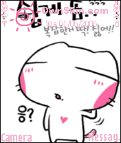 ？？？，粉粉笨猫猫。