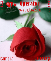 رومانسية وردة ..!!