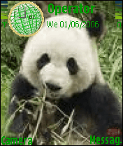 pandaprimo