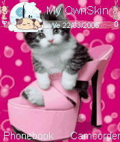 kitty