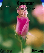 ورده بقلبه ورده