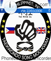 international taekwondo institute
