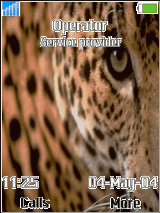 JAGUAR