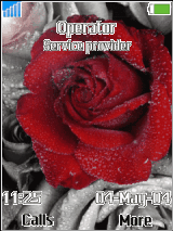 RedRose