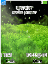 grass