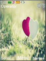 love