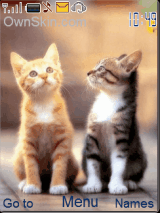 Cute couple