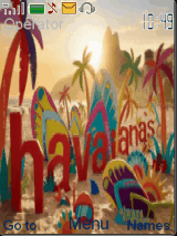 havaianas 