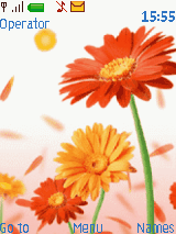 yflower