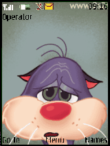 silly cat