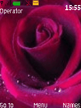 rose for u 