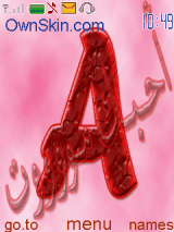 shaalan
