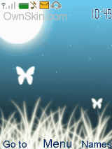 butterfly