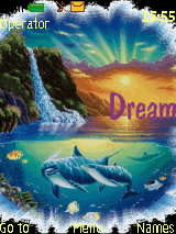 dream dolphins