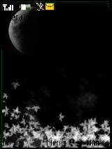 moonlight shadow