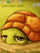 turtle