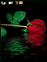 ed