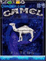 camel