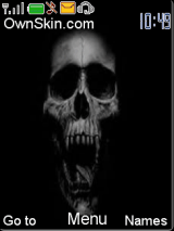 converse skull