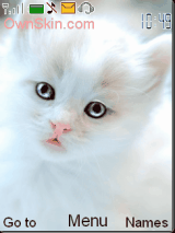 kitty cat cute sweet animated