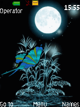 butterfly