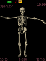 skeleton