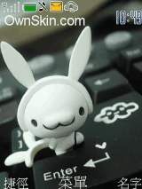 rabbit on the keyboard