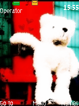 bear