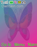 colorful butterfly