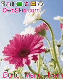 ♥ pink flower ♥