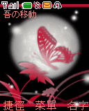 蝶戀