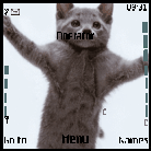 thecat