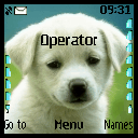 doggy4