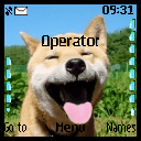 doggy2