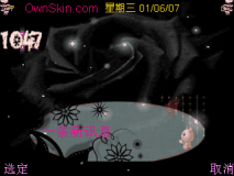 黑色玫瑰