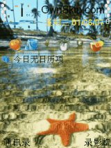 海星