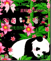 20100304blackpink -panda