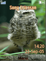 owll