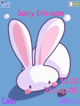 cute rabbit