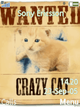 WANTED [Crazy Cat]